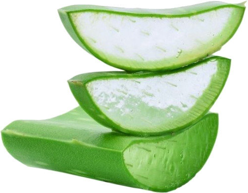 Anaplasis Aloe Vera Gel 100gr
