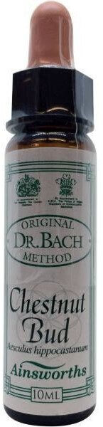 Ainsworths Dr Bach Chestnut Bud Flower Remedy 10ml