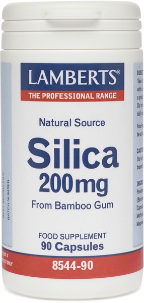 Lamberts Silica 200mg 90caps 