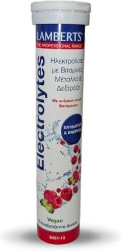 Lamberts Electrolytes Βατόμουρο 13eff.tabs