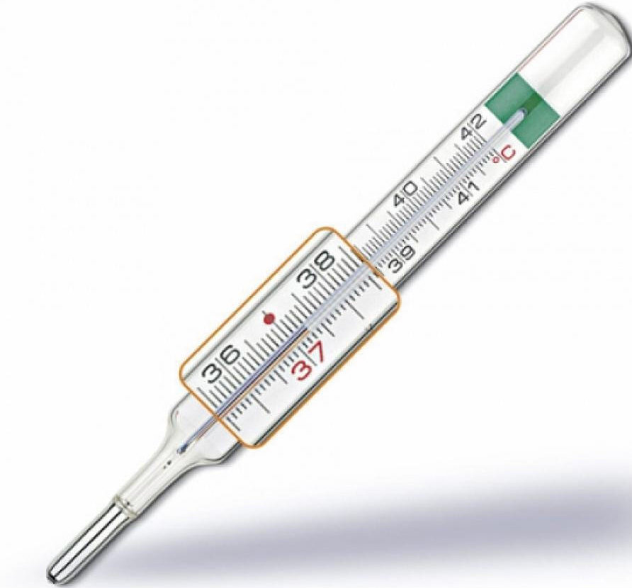 Pruno Thermometer Θερμόμετρο Οικολογικό 1τμχ