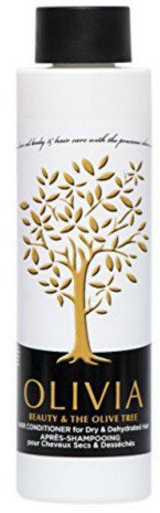 Papoutsanis Olivia Hair Conditioner for Dry Hair 300ml