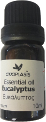 Anaplasis Eycalyptus Oil 10ml