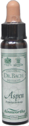 Ainsworths Dr Bach Aspen Bach Flower Remedy Ανθοΐαμα Άγρια Λεύκη για Αισιοδοξία & Εμπιστοσύνη 10ml 20