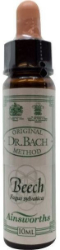 Ainsworths Dr Bach Beech Ανθοΐαμα Οξυά για Ανεκτικότητα 10ml 20