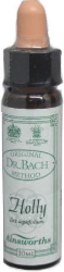 Ainsworths Dr Bach Holly Bach Flower Remedy Ανθοΐαμα Αρκουδοπούρναρο 10ml 20