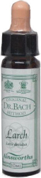 Ainsworths Dr Bach Larch Bach Flower Remedy Ανθοΐαμα για Αυτοπεποίθηση Επιθυμία να Πετύχω 10ml 20