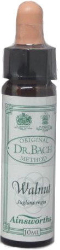Ainsworths Dr Bach Walnut Bach Flower Remedy Ανθοΐαμα Καρυδιά 10ml 20