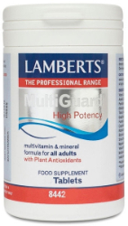 Lamberts Multi-guard High Potency Πολυβιταμινούχο Συμπλήρωμα Για Ενέργεια & Τόνωση 30tabs 78