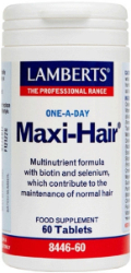 Lamberts One A Day Maxi Hair Συμπλήρωμα Διατροφής κατά της Τριχόπτωσης & Ενδυνάμωσης των Μαλλιών 60tabs 105