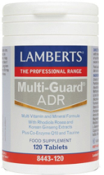 Lamberts Multi Guard ADR  Πολυβιταμινούχο Συμπλήρωμα Διατροφής Για Την Αντιμετώπιση Της Κόπωσης 120tabs 213