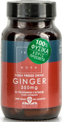 Terranova Ginger 350mg Συμπλήρωμα Διατροφής για Αποτοξίνωση του Οργανισμού 50vcaps 144