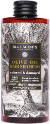 Blue Scents Olive Oil Hair Shampoo Colored & Damaged Σαμπουάν για Βαμμένα & Ταλαιπωρημένα Μαλλιά 300ml 340