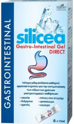 Hubner Silicea Gastro-Intestinal Gel DIRECT Φακελίσκοι Γέλης Πόσιμης κατά Γαστρεντερικών Παθήσεων 6x15ml 130