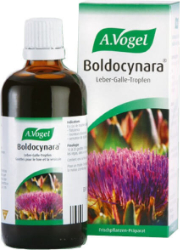 A.Vogel Boldocynara Συμπλήρωμα Διατροφής Μπόλντο Αγκινάρας & Αγριοράδικο για Αποτοξίνωση & Ενίσχυση της Πέψης 50ml 100