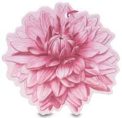 L' Erbolario Dalia Multipurpose Perfumed Flower 1τμχ