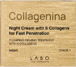 Collagenina Αγωγή Νυκτός Grade 1 για Αναπλήρωση Όγκου & Σύσφιξη με 6 Μόρια Κολλαγόνου 50ml 111