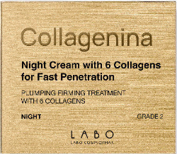 Collagenina Αγωγή Νυκτός Grade 2 για Αναπλήρωση Όγκου & Σύσφιξη με 6 Μόρια Κολλαγόνου 50ml 111